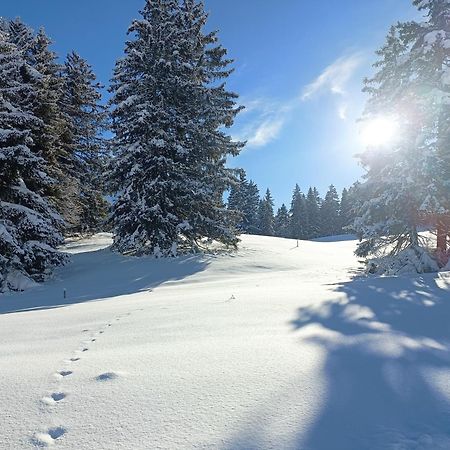 شقة Ferien In Der Region Lenzerheide المظهر الخارجي الصورة
