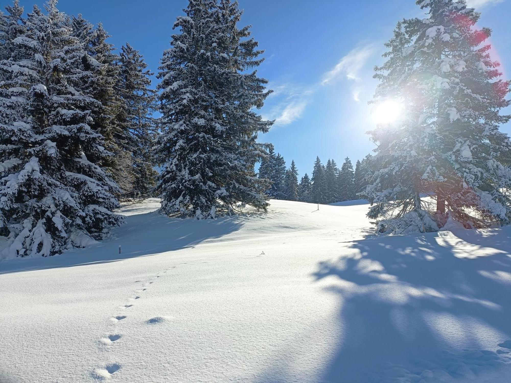 شقة Ferien In Der Region Lenzerheide المظهر الخارجي الصورة